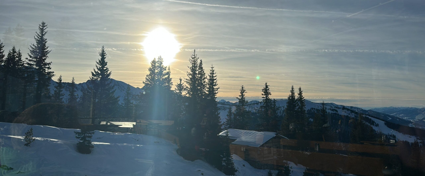 6FF8E81E-1474-47B9-BB96-976B261D5383